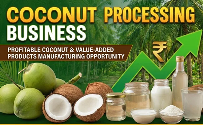 Coconut Processing Business in India