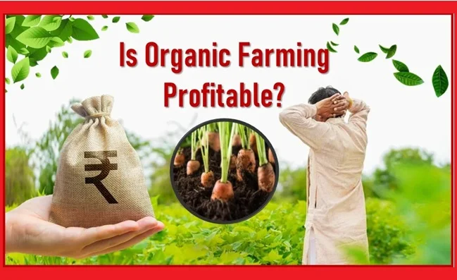 Organic Farming Business Plan India: Complete Guide for Starting a Profitable Organic Farm