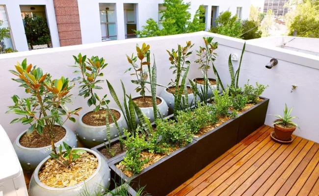 Terrace Garden Setup Guide: Complete Step-by-Step Guide for Indian Homes (2026)